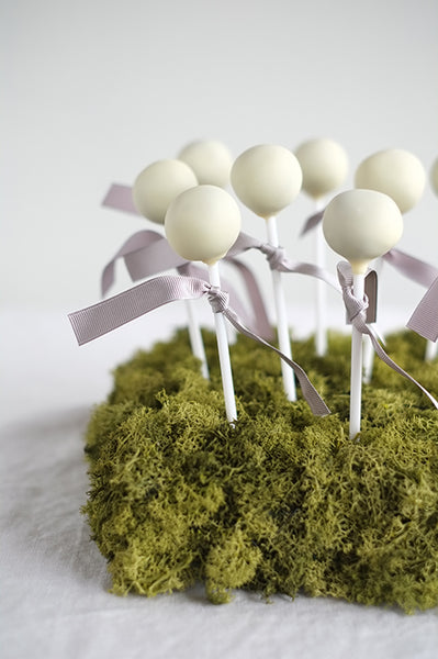 Cake pops – Set of 20